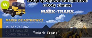 Projekt wizytówki dla firmy Mark-Trans
